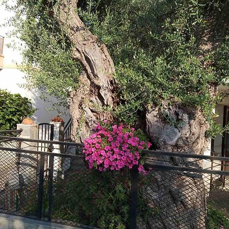 Aegean Balcony Villa Skála Kallirákhis Buitenkant foto