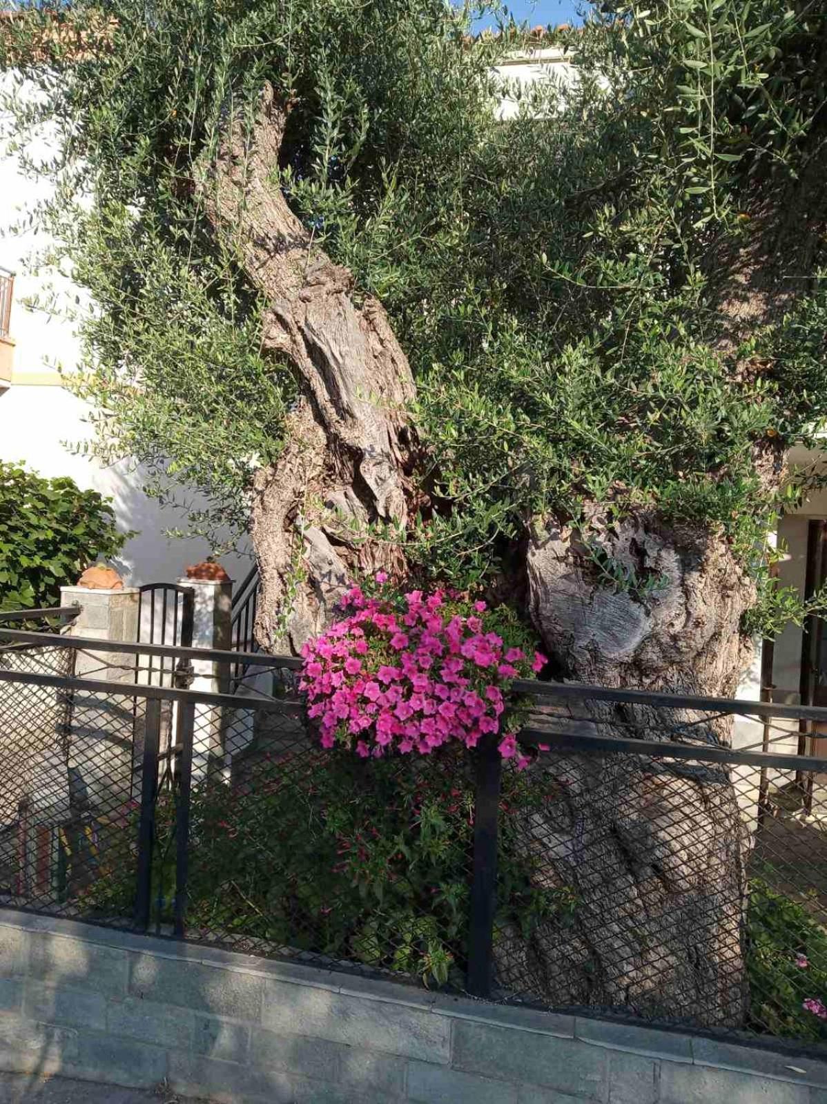 Aegean Balcony Villa Skála Kallirákhis Buitenkant foto